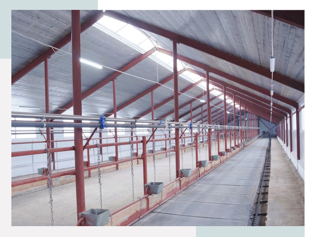 Строительство коровников в Морозовске от 616 руб.