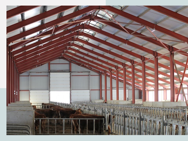 Строительство коровников в Морозовске